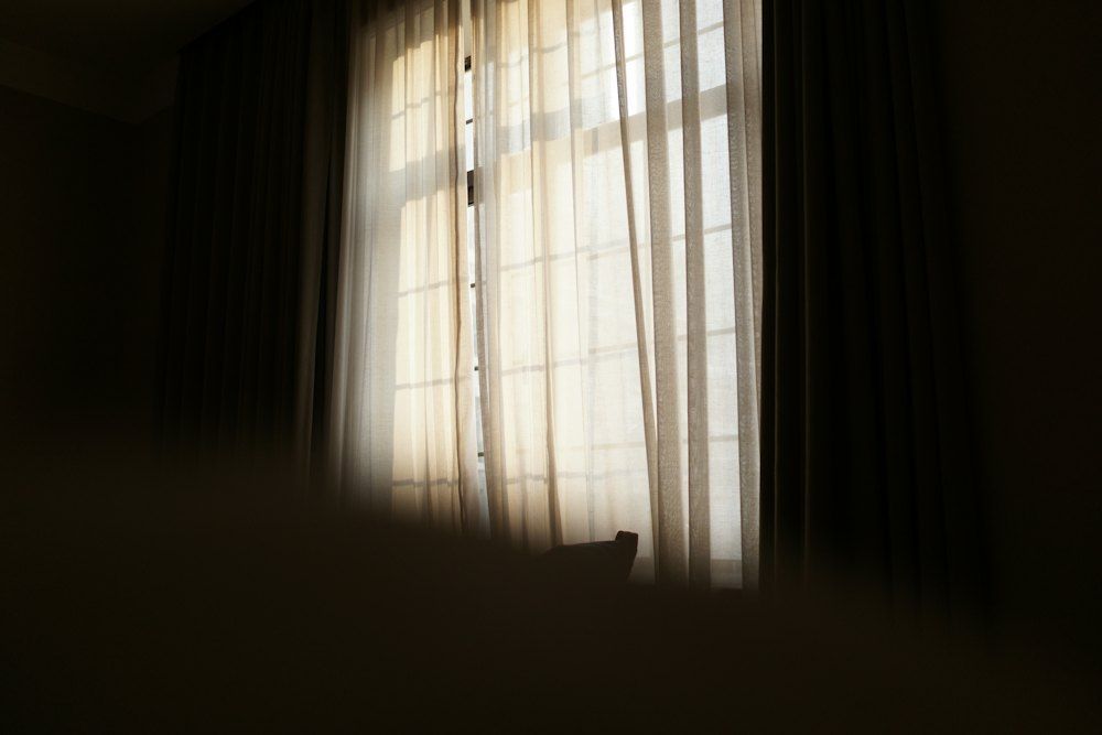 Soft sunlight filtering through sheer curtains at a window in a calm room
