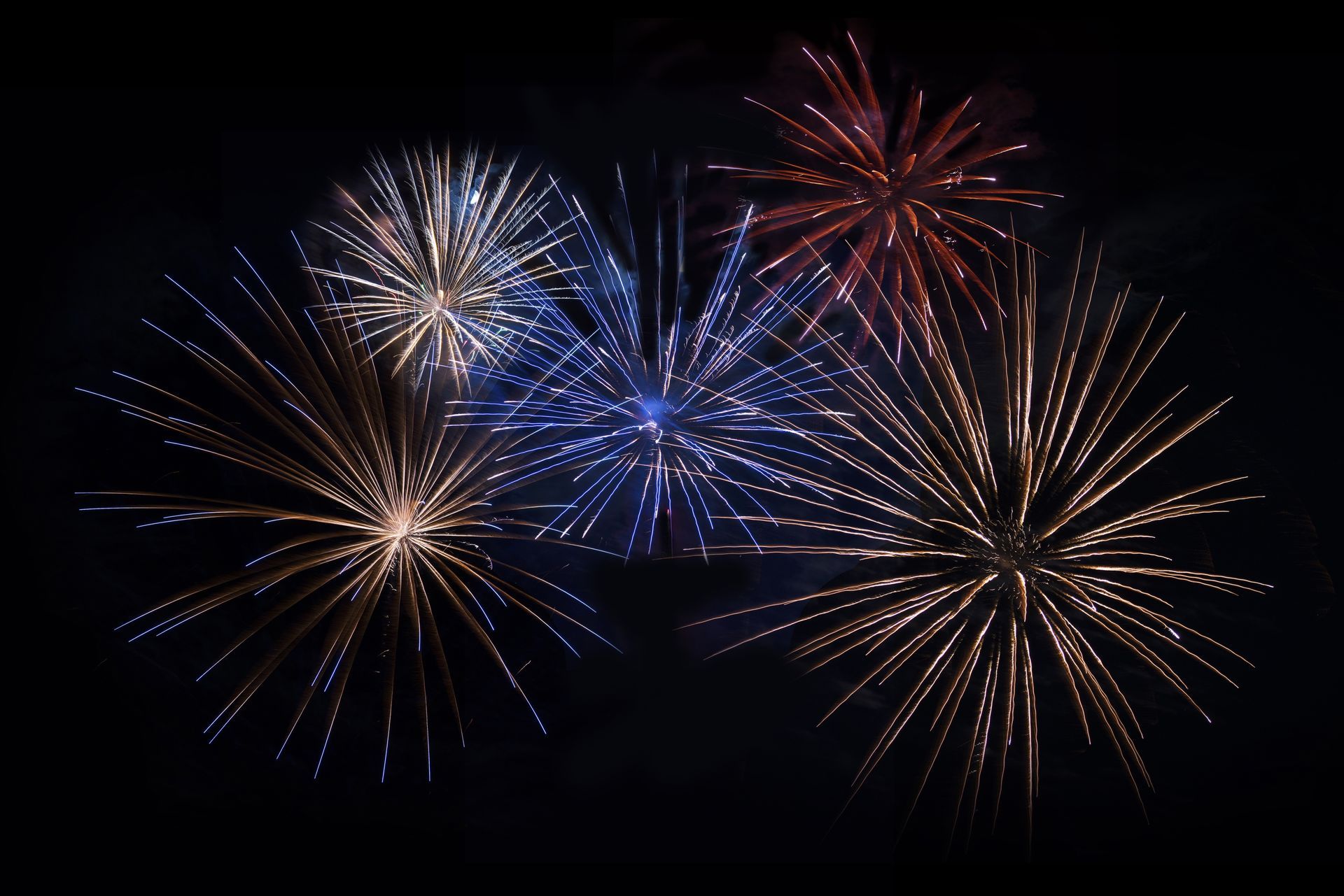 Fireworks exploding in the night sky; bursts of gold, blue, and red light.