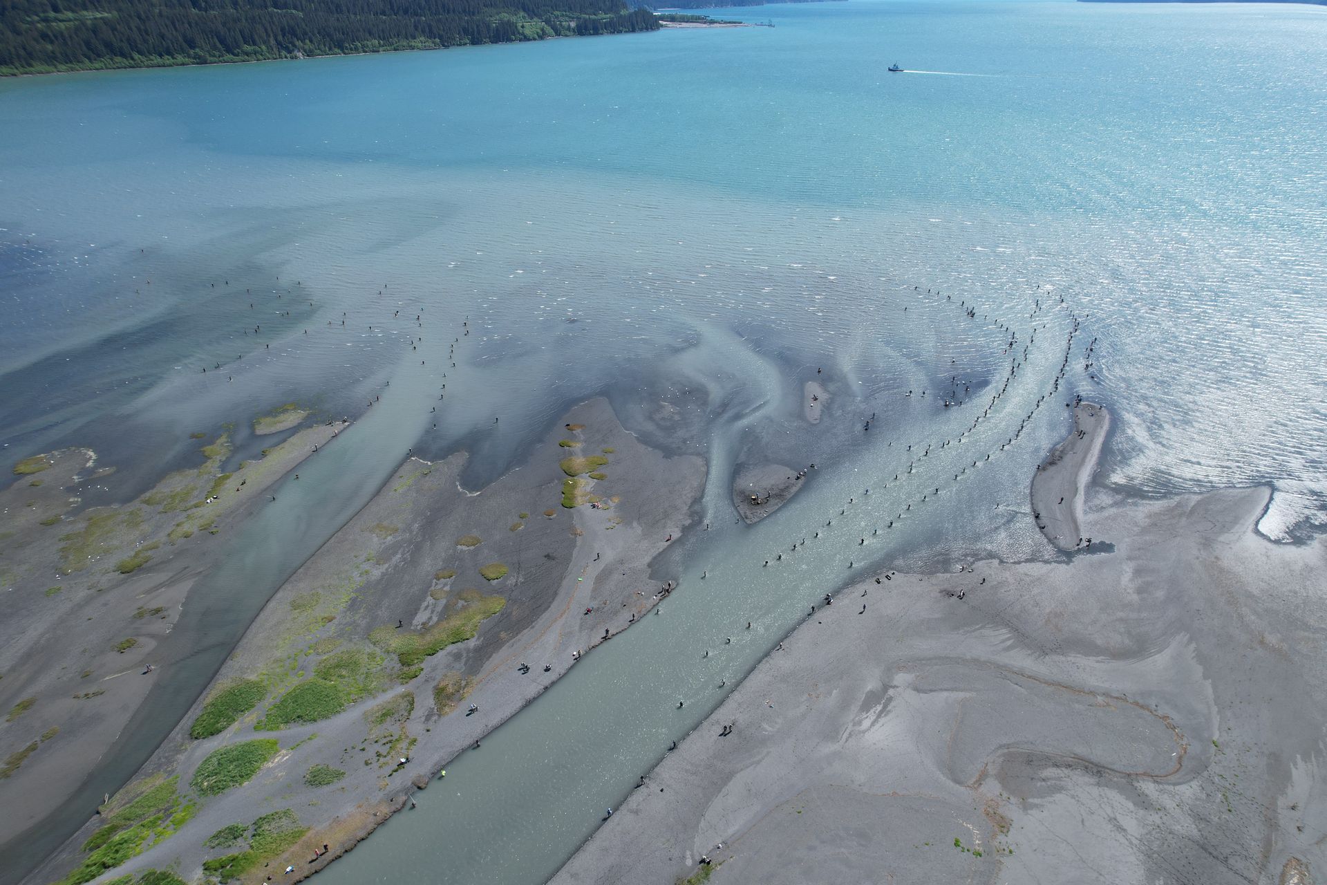 An aerial view of a sediment-rich river flowing into a bright blue lake, forming a sandy, gray delta.