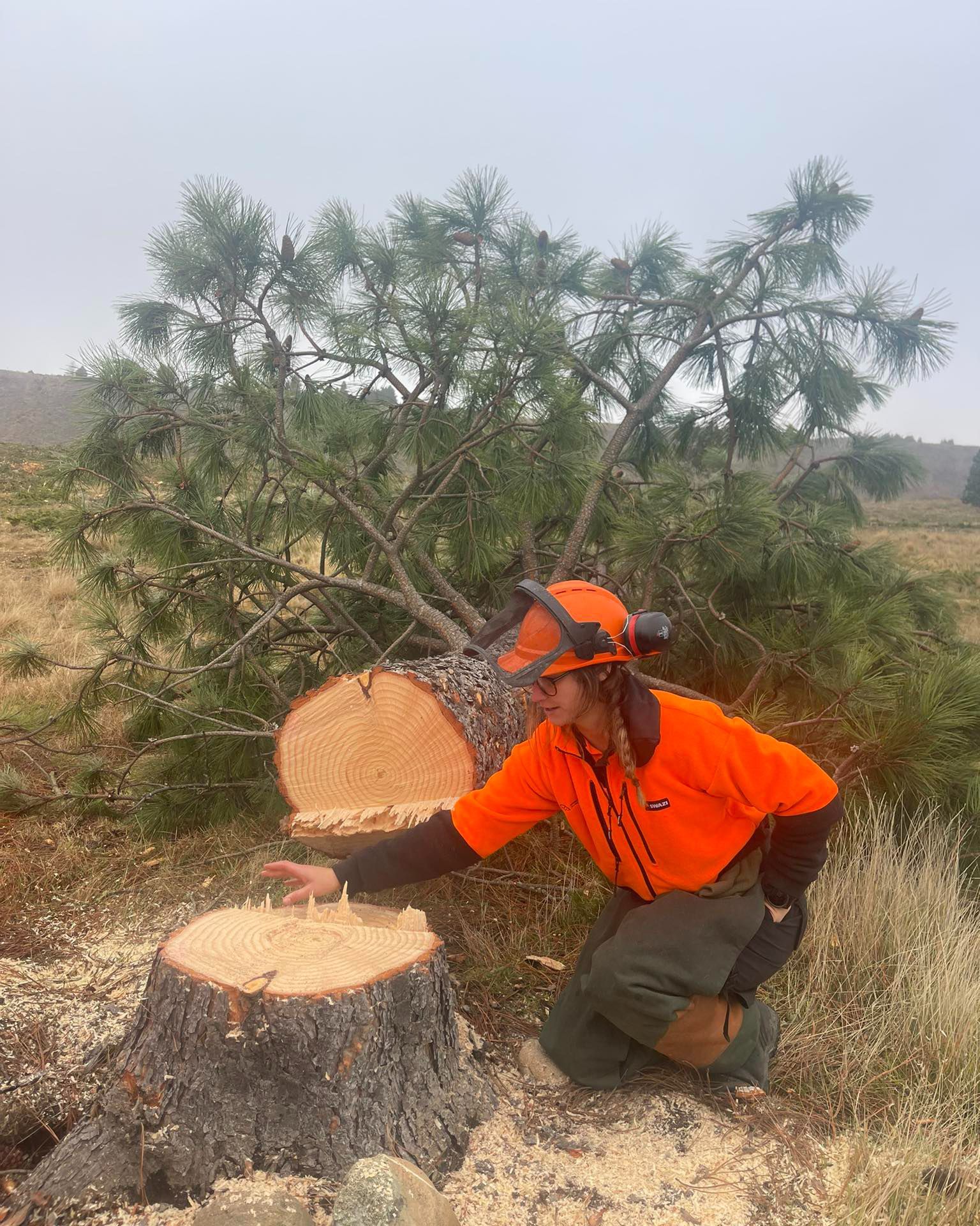 A Day in the Life of a Chainsaw Operator