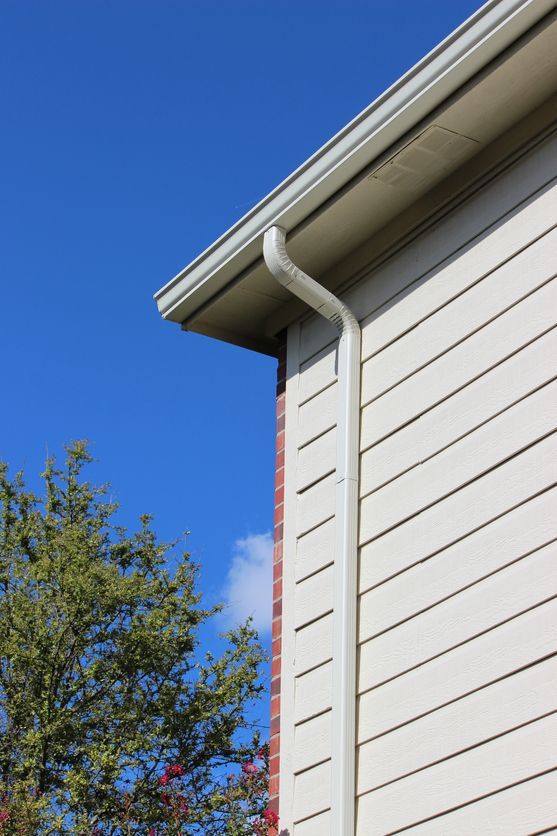 A white house with a white gutter and a tree in the background