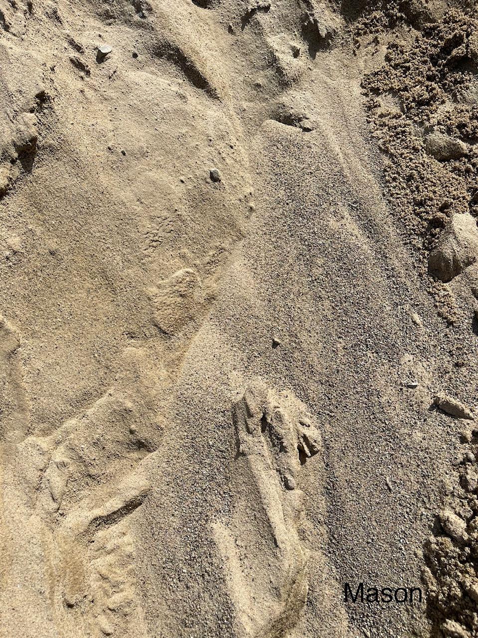 Mason Sand