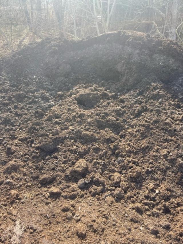 Mushroom Manure