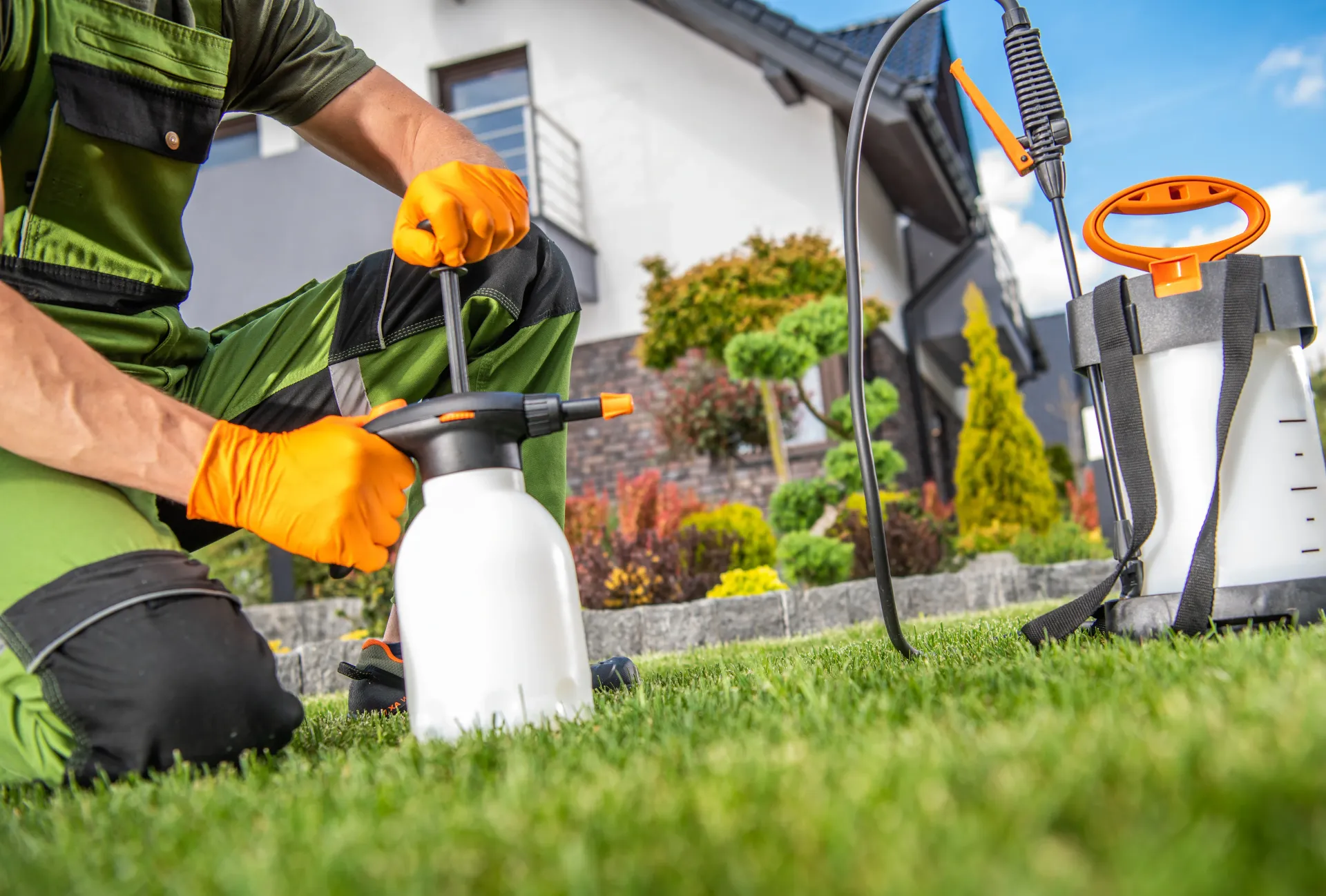 Clean and pest-free home maintained by Wipe-Out Pest Control LLC in Edinburg, TX