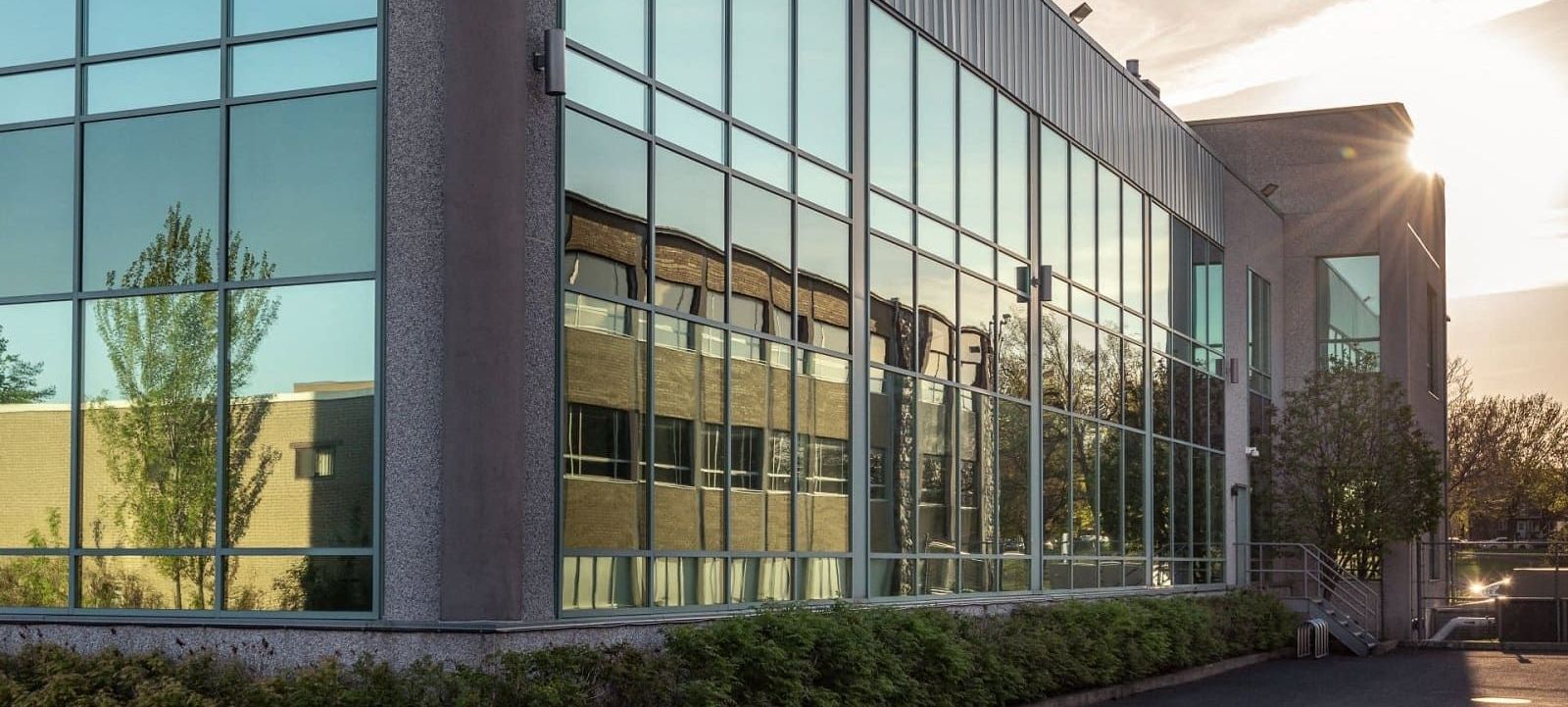 Commercial window tinting trends