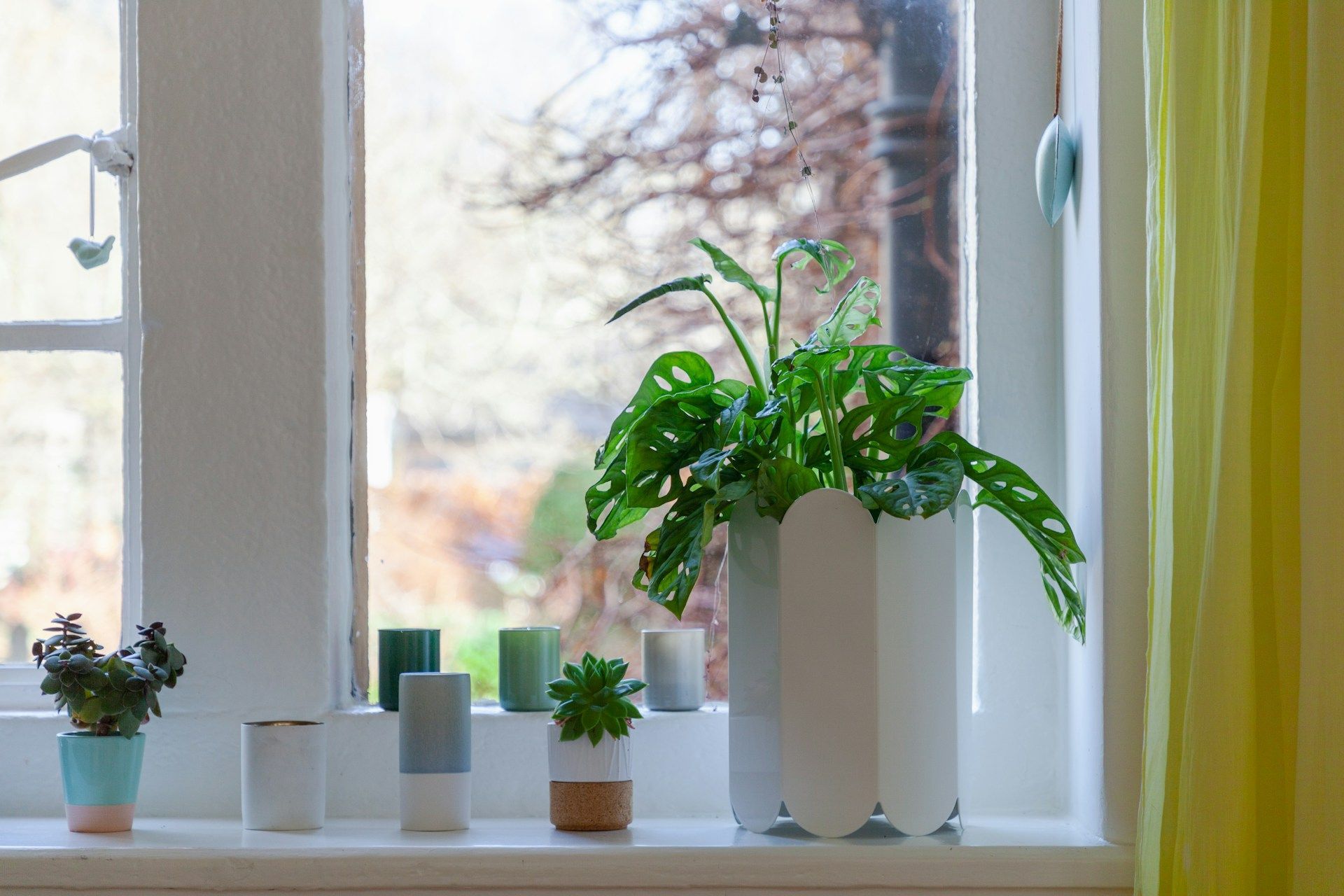 Window Film