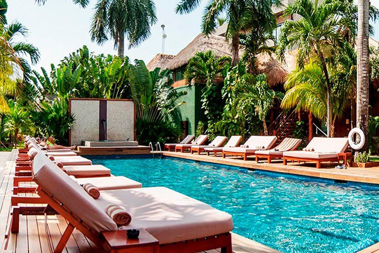 Pool area with lounge chairs, tropical plants, and a building with a thatched roof.