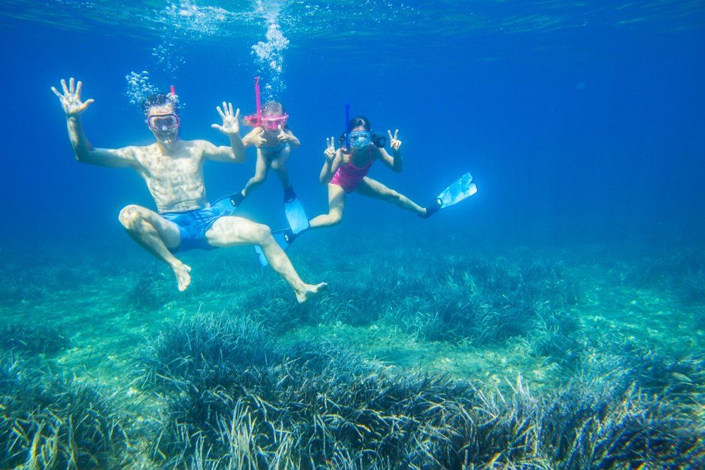 Family snorkeling underwater in a clear blue ocean, waving near green plants on the seabed.
