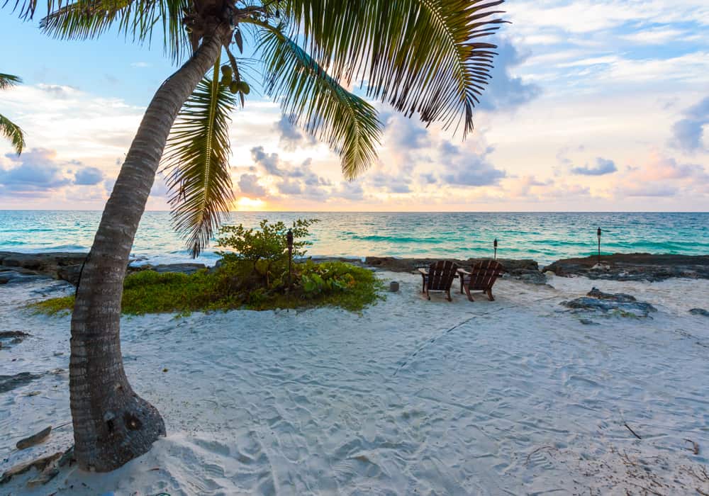 Palm tree on a white sandy beach with turquoise water and a sunset, two chairs visible.
