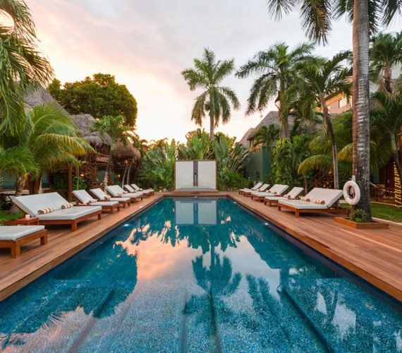 Long rectangular pool surrounded by wooden deck and lounge chairs, palm trees, and tropical foliage.