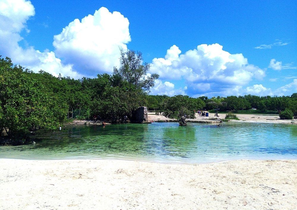 Clear turquoise water meets a white sandy beach, lush green trees under a blue sky dotted with puffy white clouds.