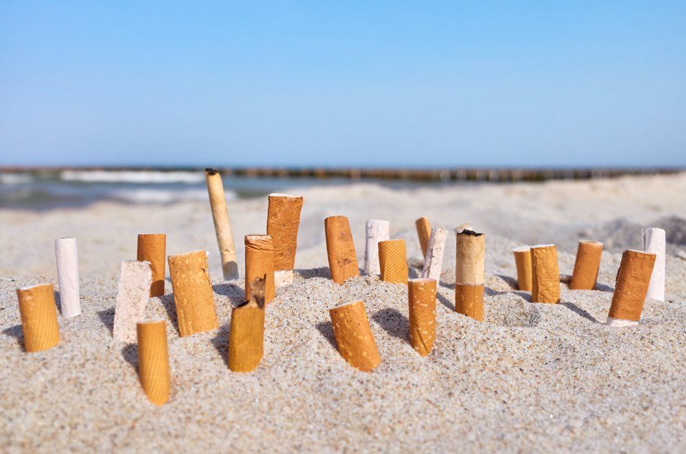 Cigarette butts stuck in the sand on a beach with the ocean and sky in the background.