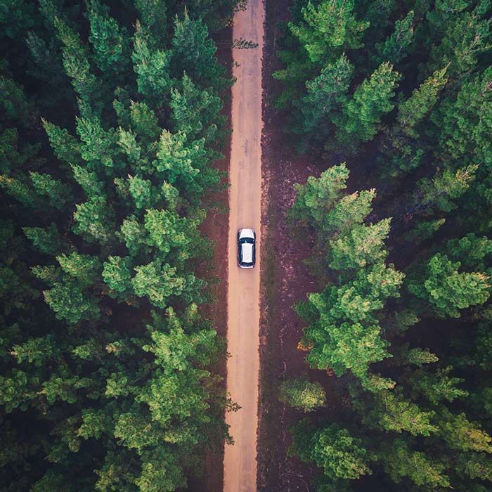Aerial view of a white car driving down a dirt road through dense green forest.
