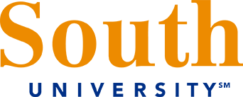 South University South University