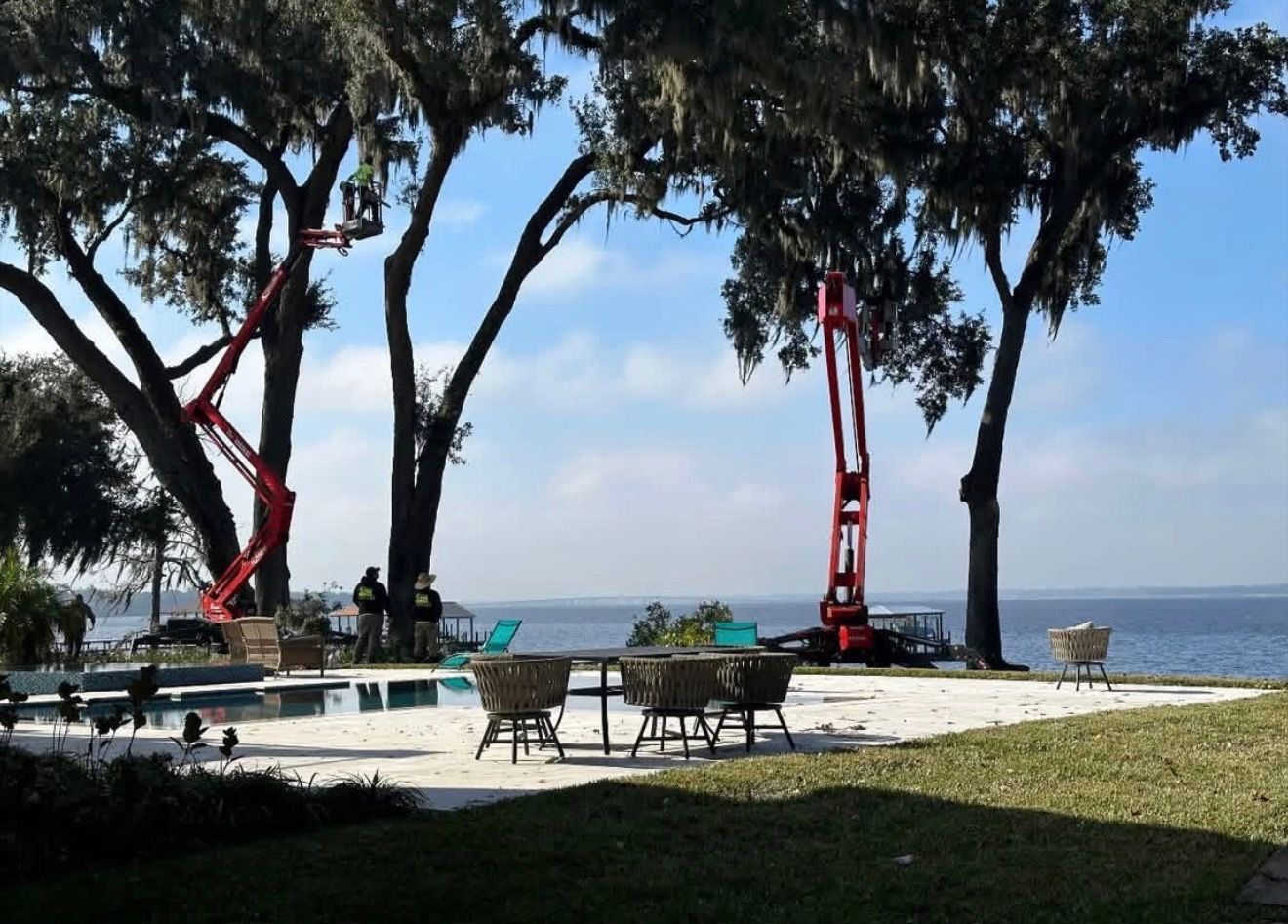Two red aerial lifts trim large trees by a swimming pool and a waterfront deck on a sunny day.