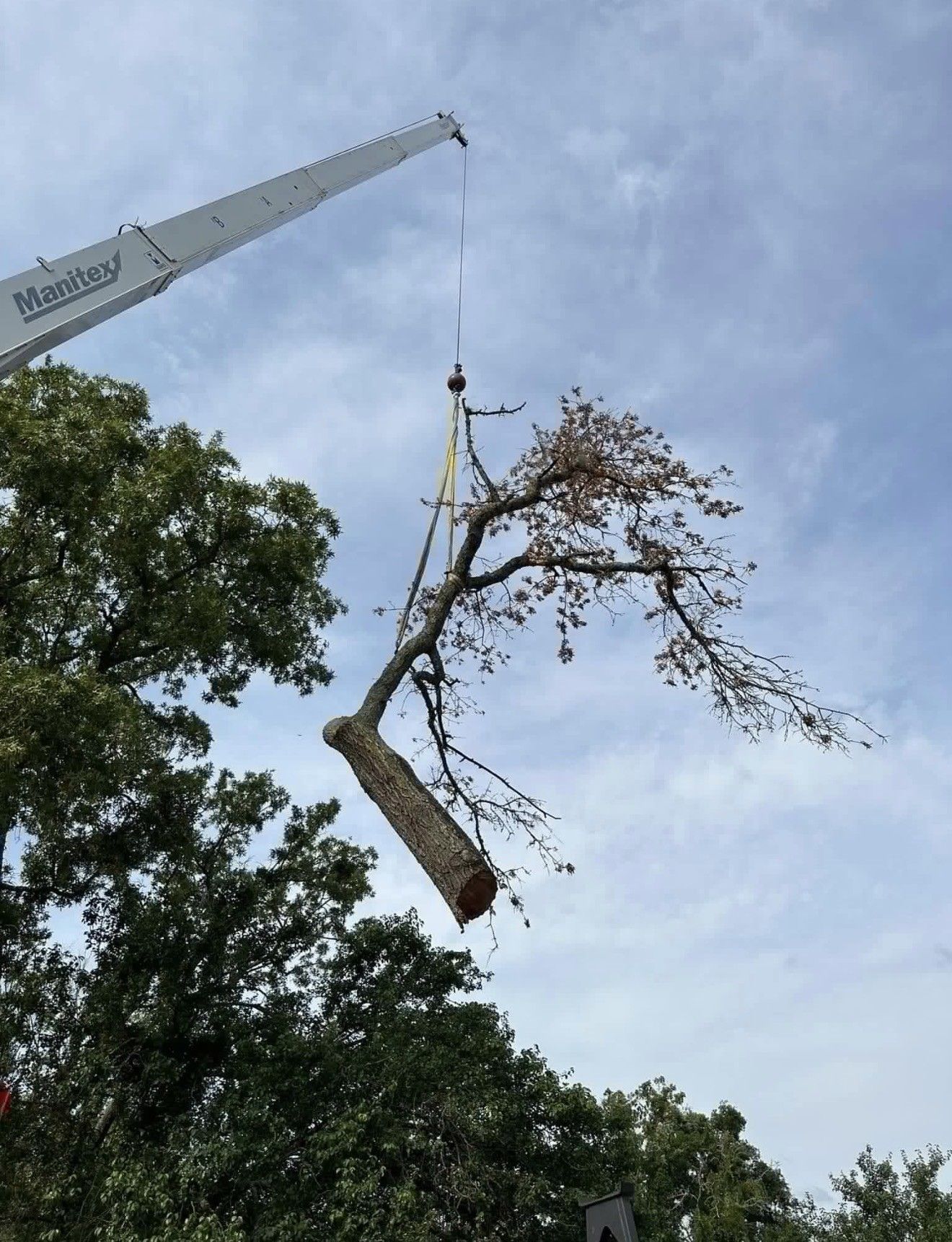 A crane lifts a large, trimmed tree branch through the air against a cloudy sky.