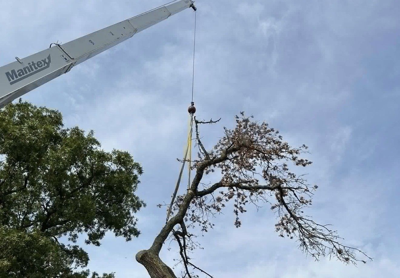 A Manitex crane lifts a large tree branch into the air against a cloudy sky.