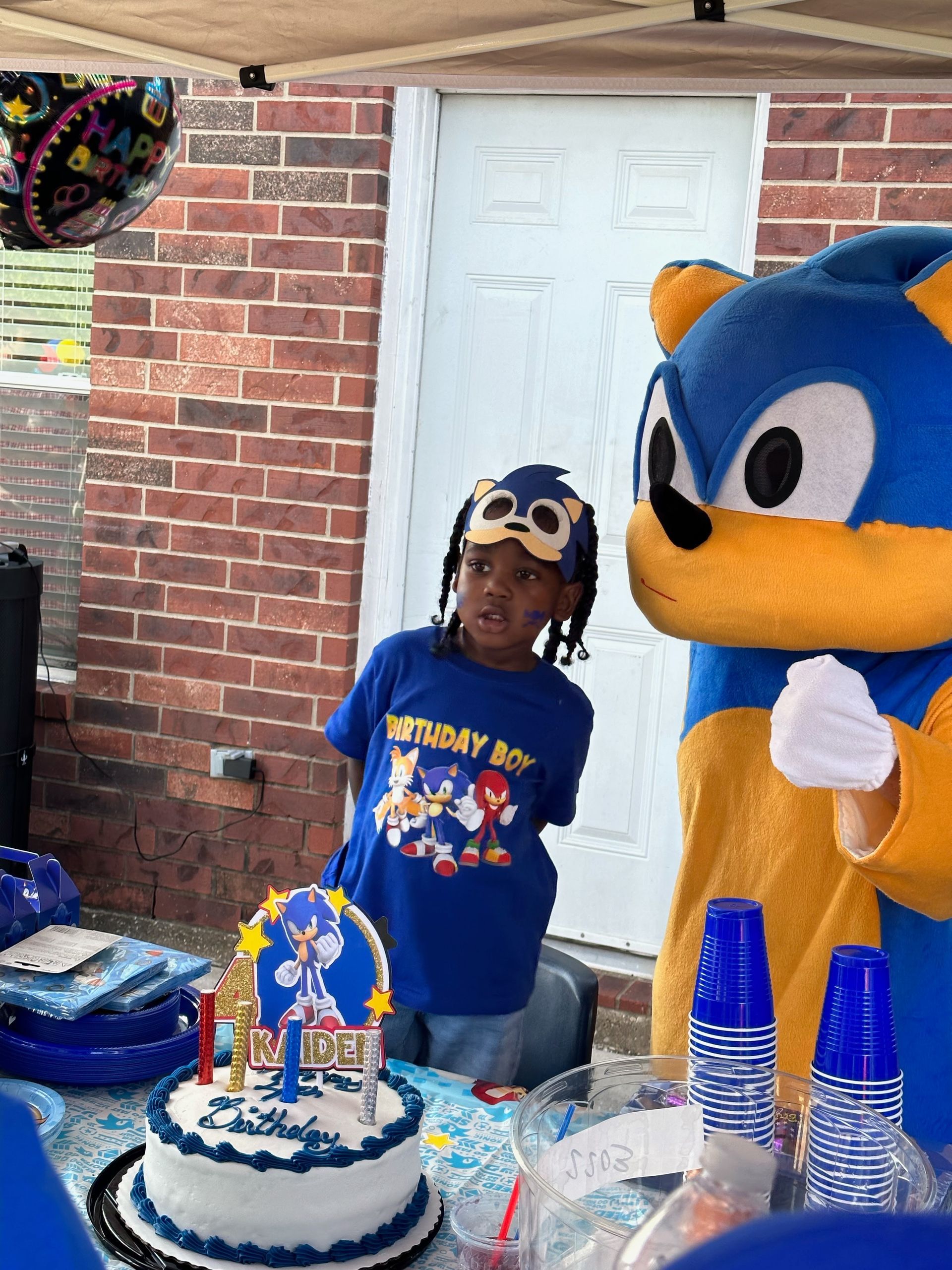 Sonic Themed Party