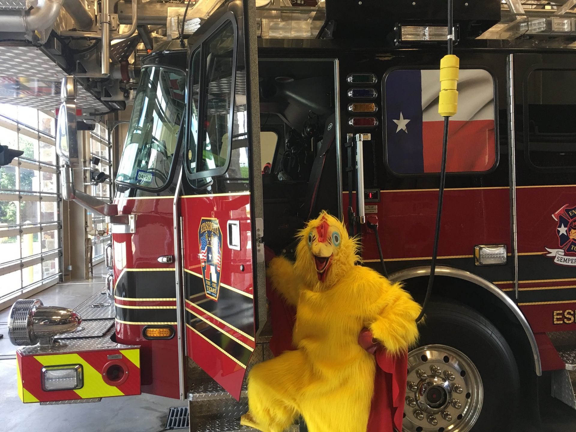 Chicken Costume