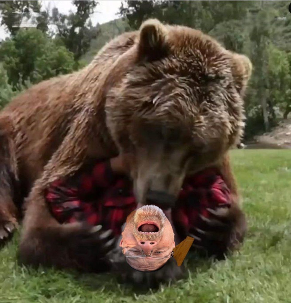 Man playing with Grizzly bear