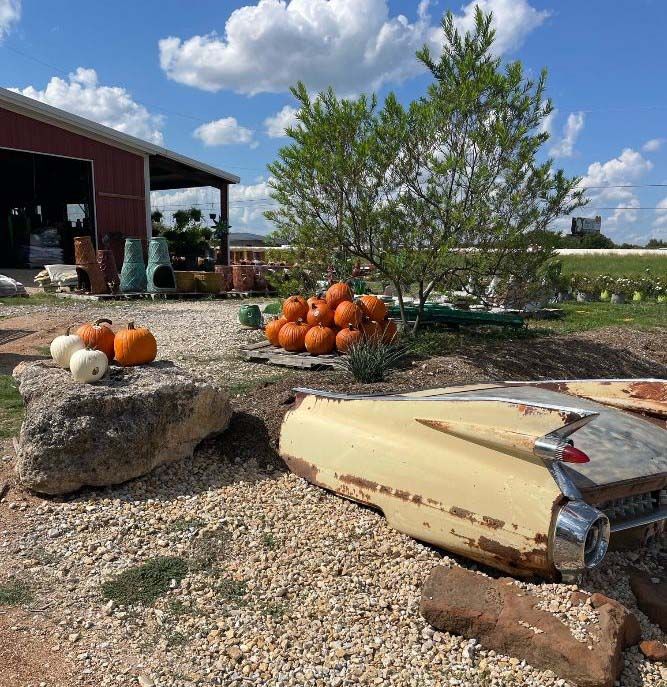 Pumpkin display