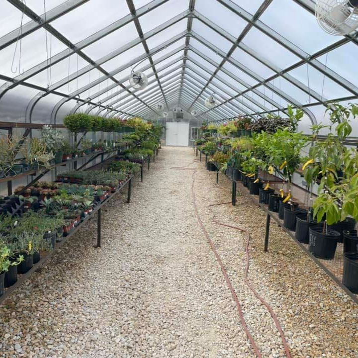 Greenhouse killeen tx