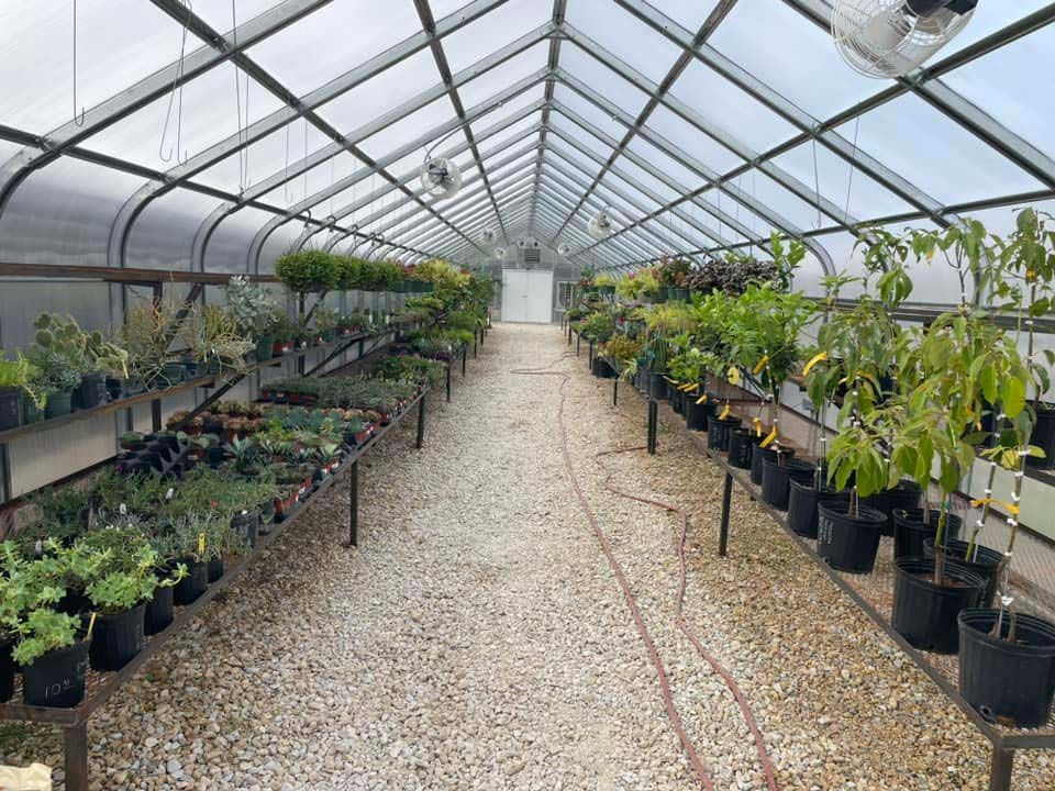 Greenhouse