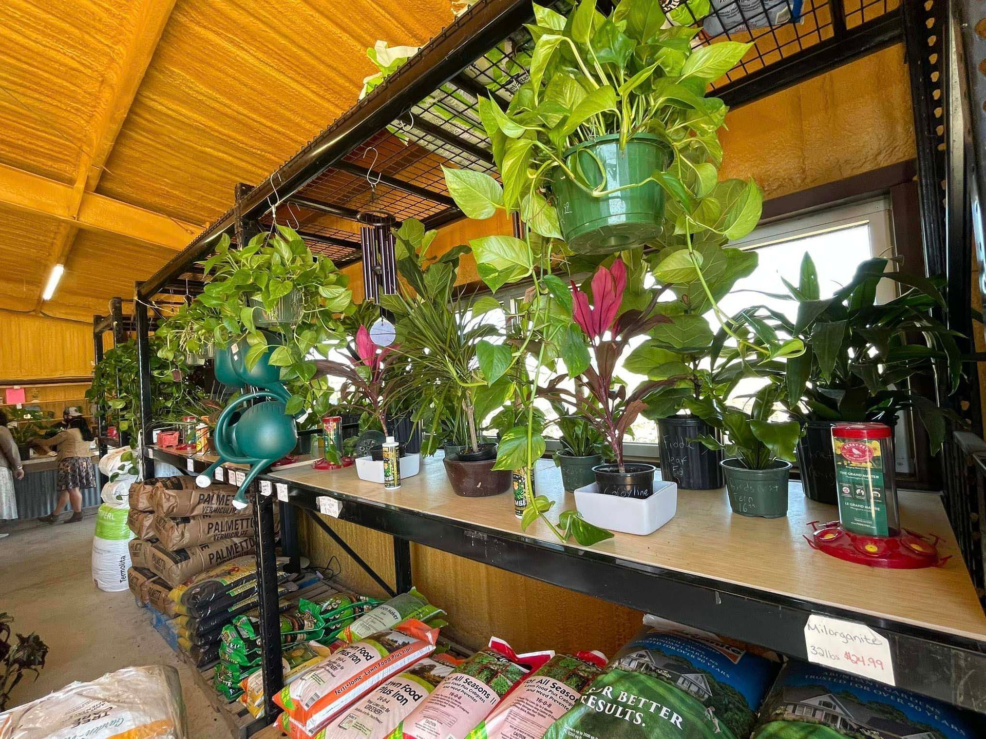House plants display inside store