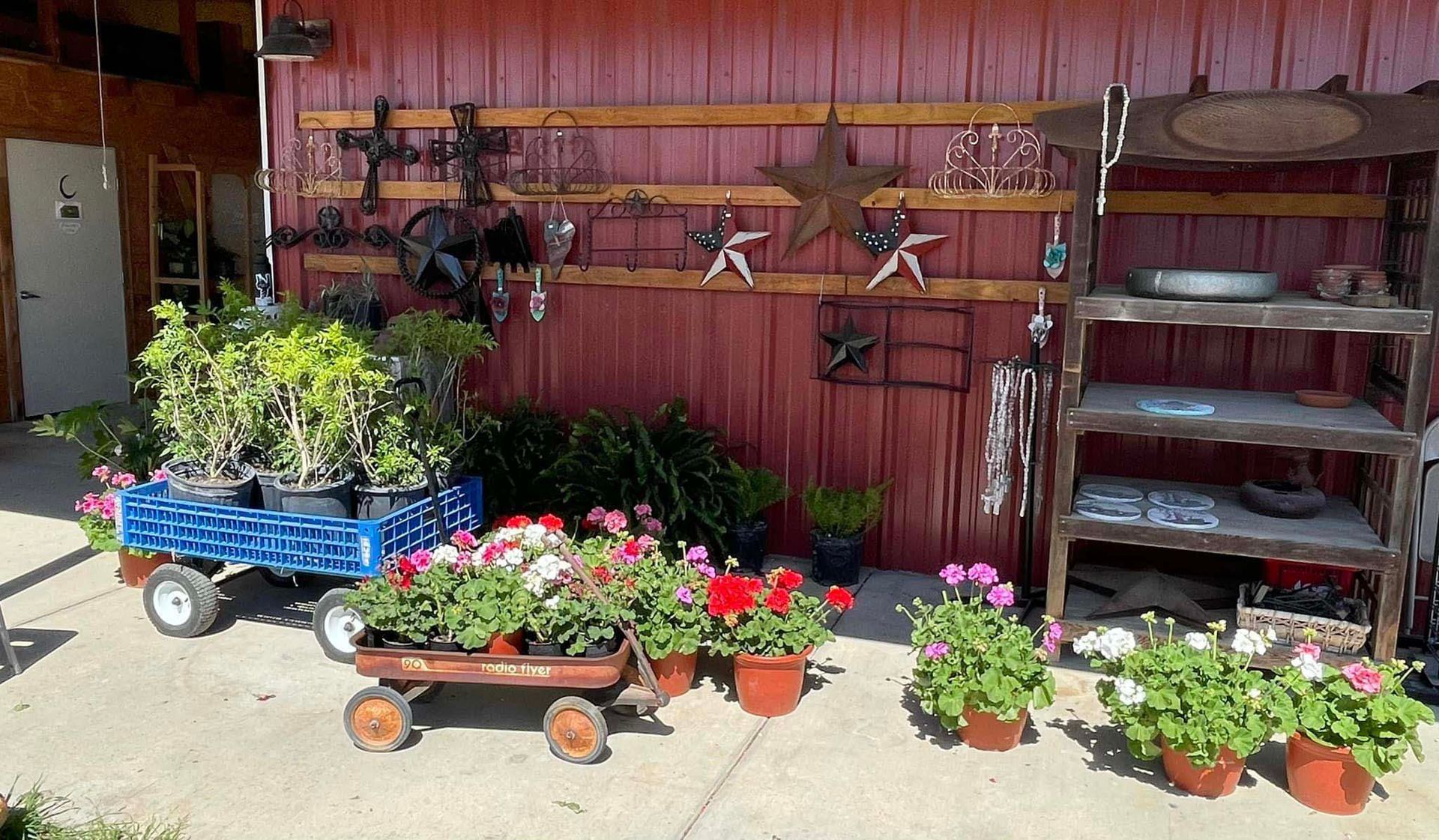 New plant arrivals on back porch