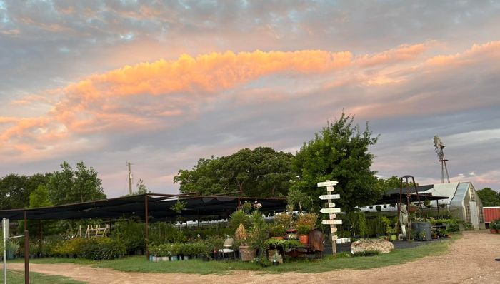 nursery belton tx