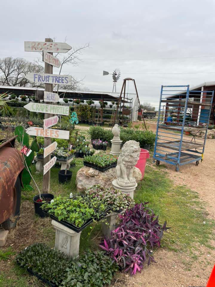 Nursery direction signs