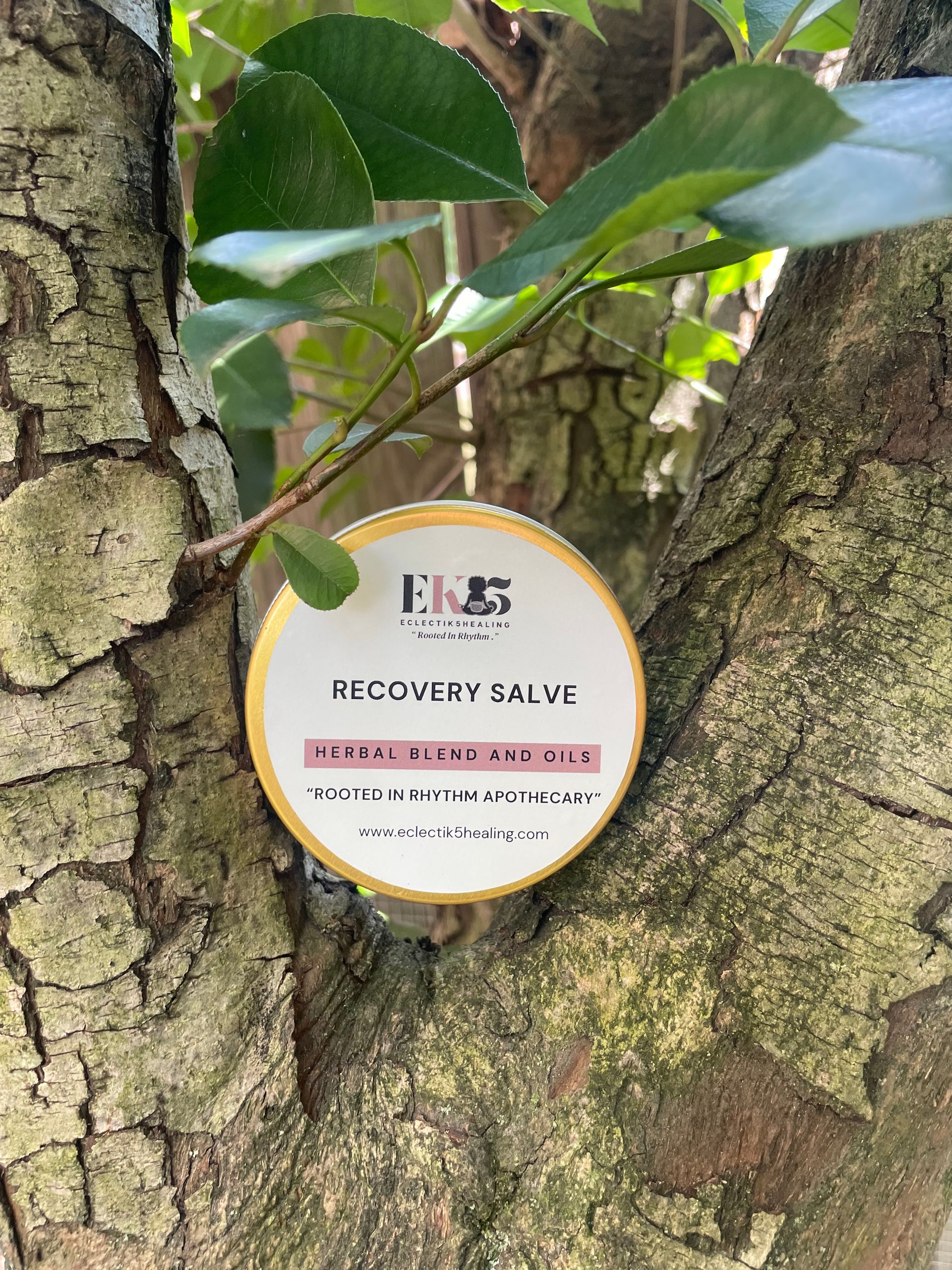 Recovery Salve (Trauma Formula with beef tallow)