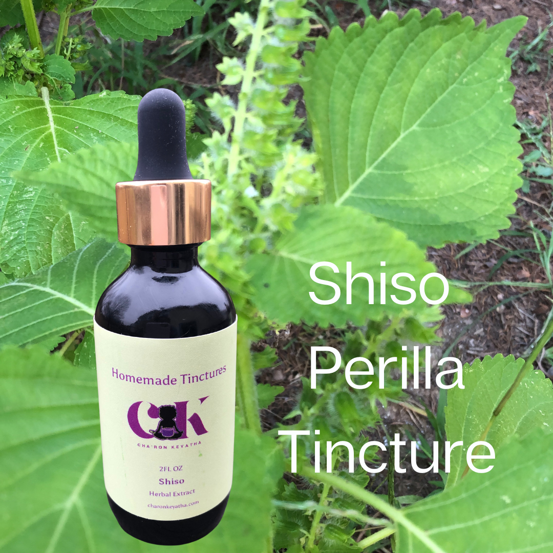 Shiso (Perilla) Tincture
