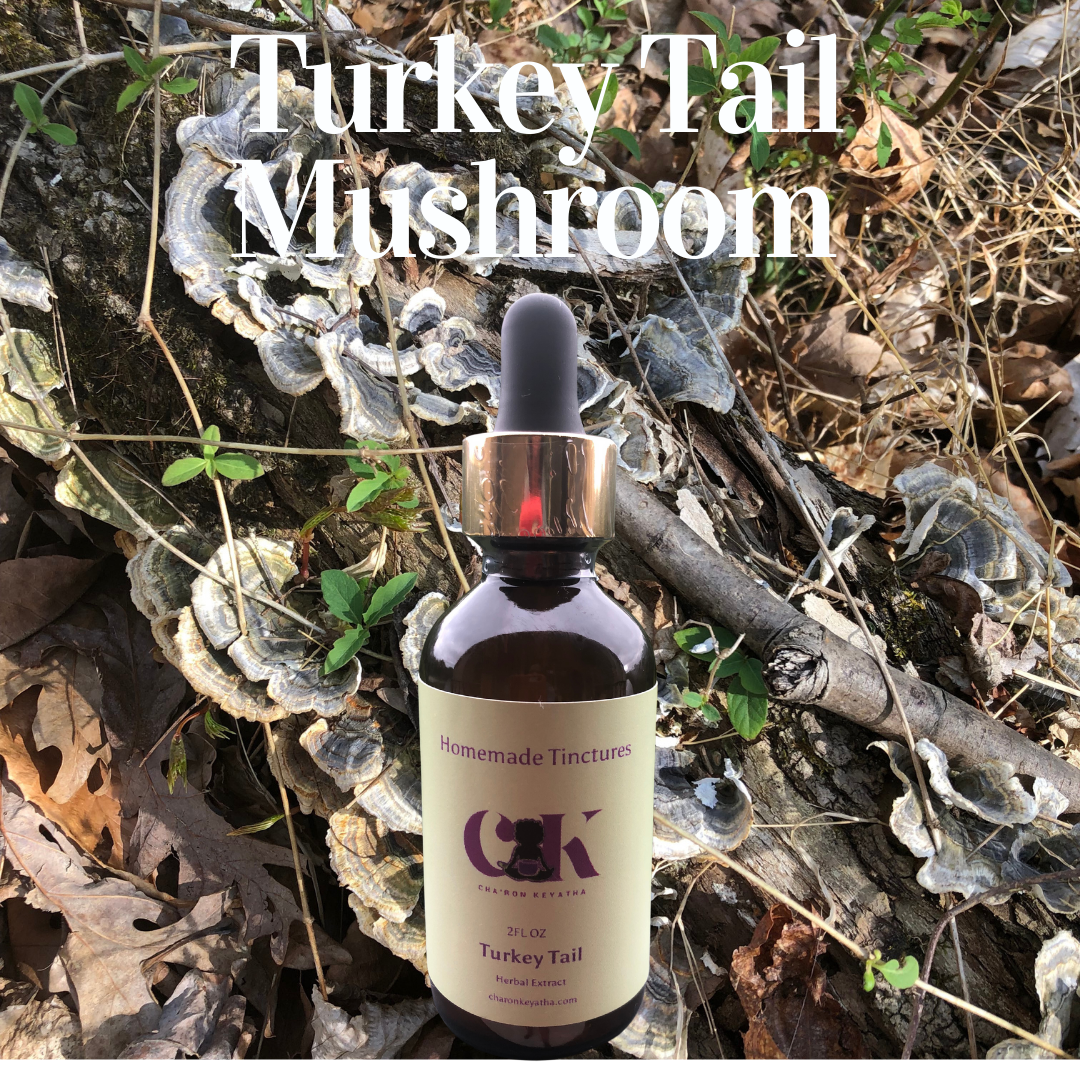 Turkey Tail Mushroom Tincture (Dual Extraction)