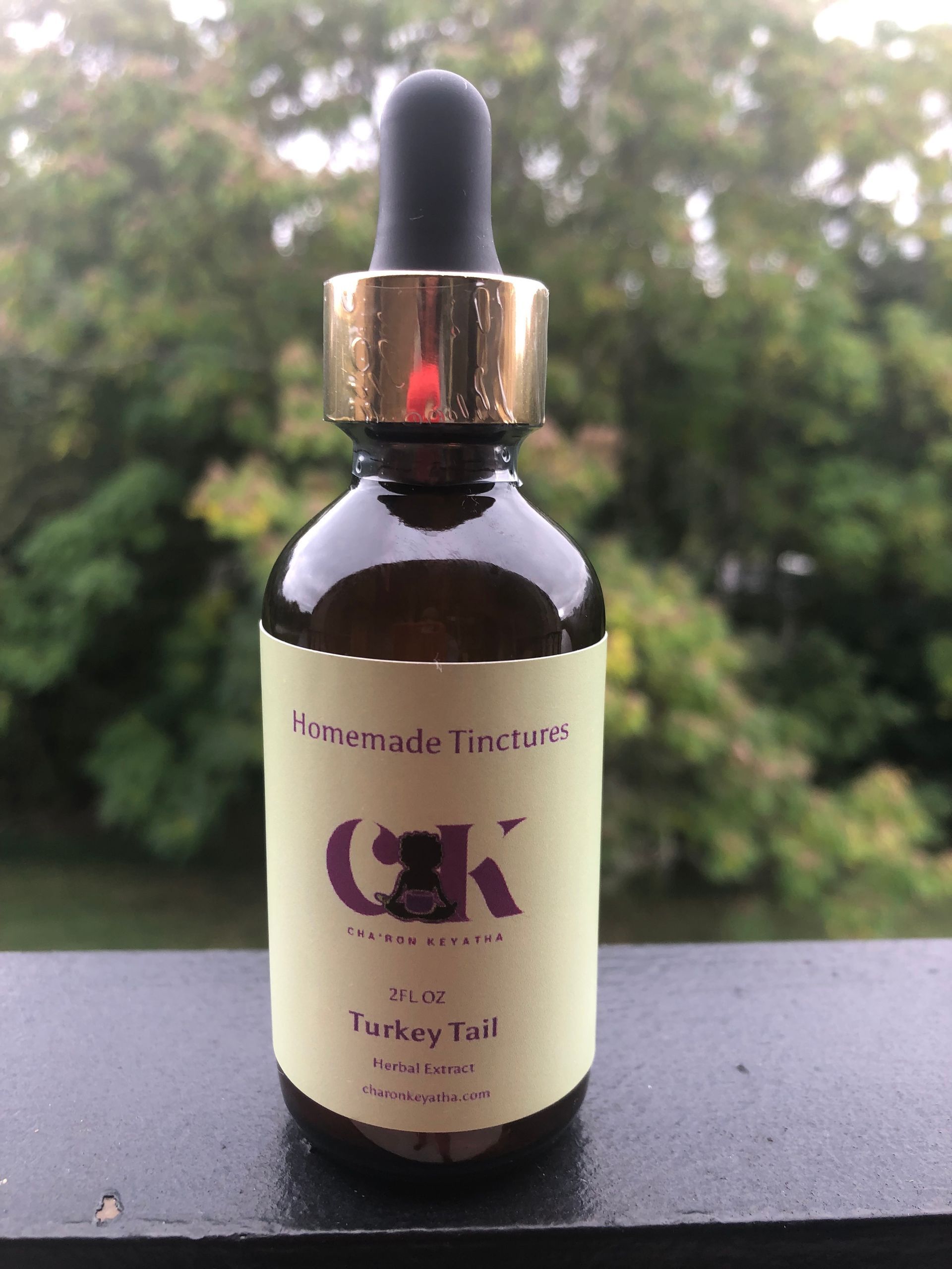 Turkey Tail Mushroom Tincture (Dual Extraction)