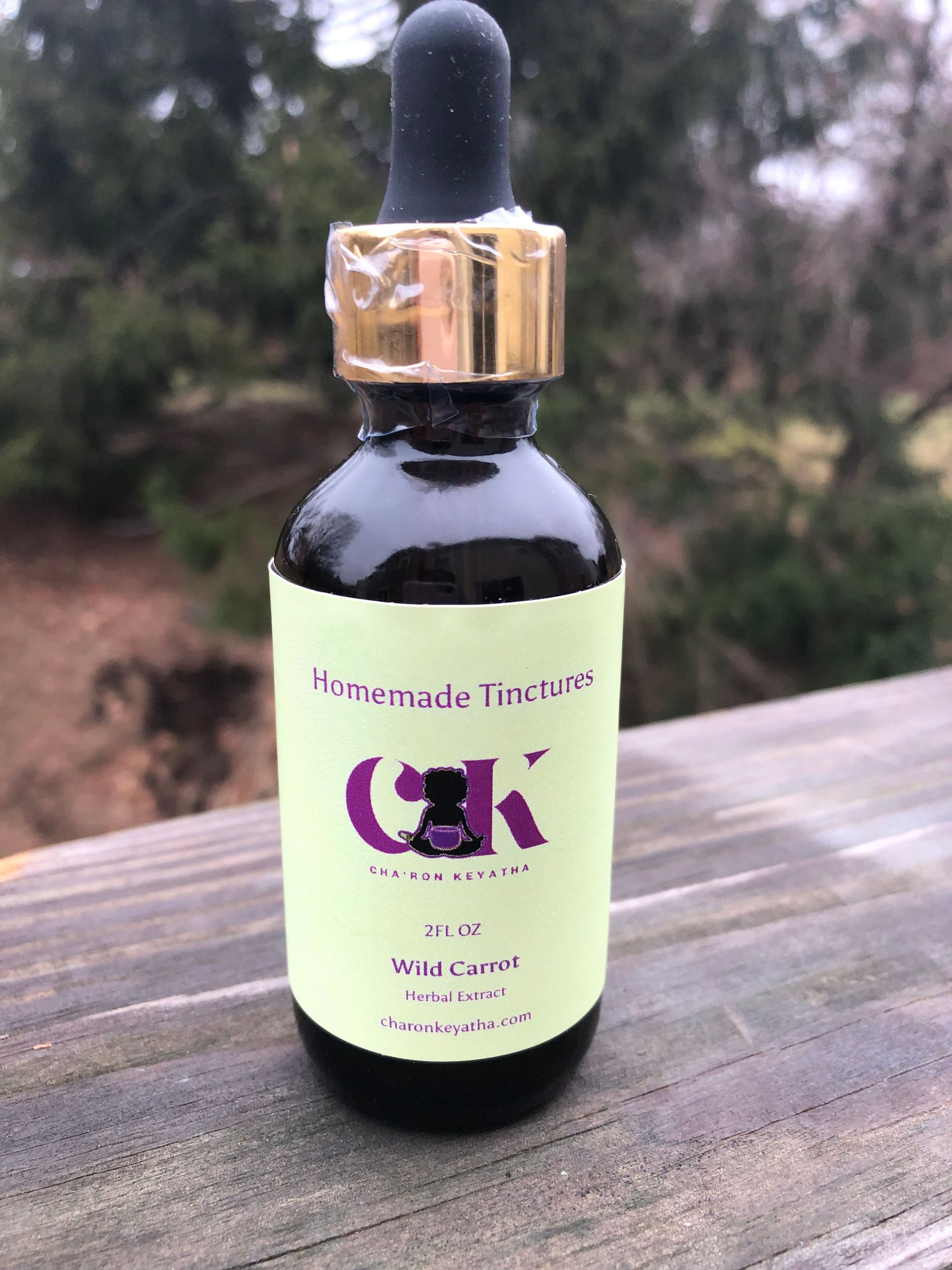Wild Carrot Tincture (Queen Anne's Lace)