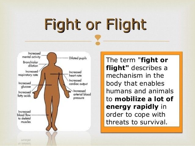 A diagram of a human body and the words fight or flight