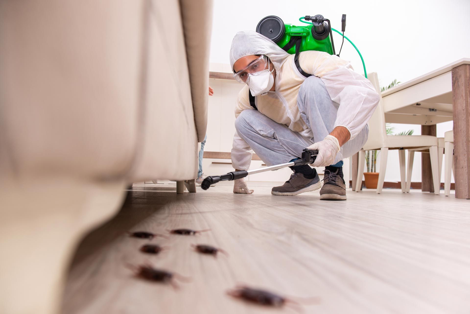 A pest control contractor working in a residential site.