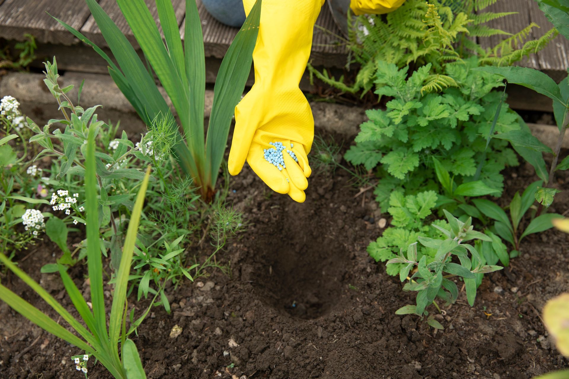 Balanced Fertilization Services - B & B Exterminating