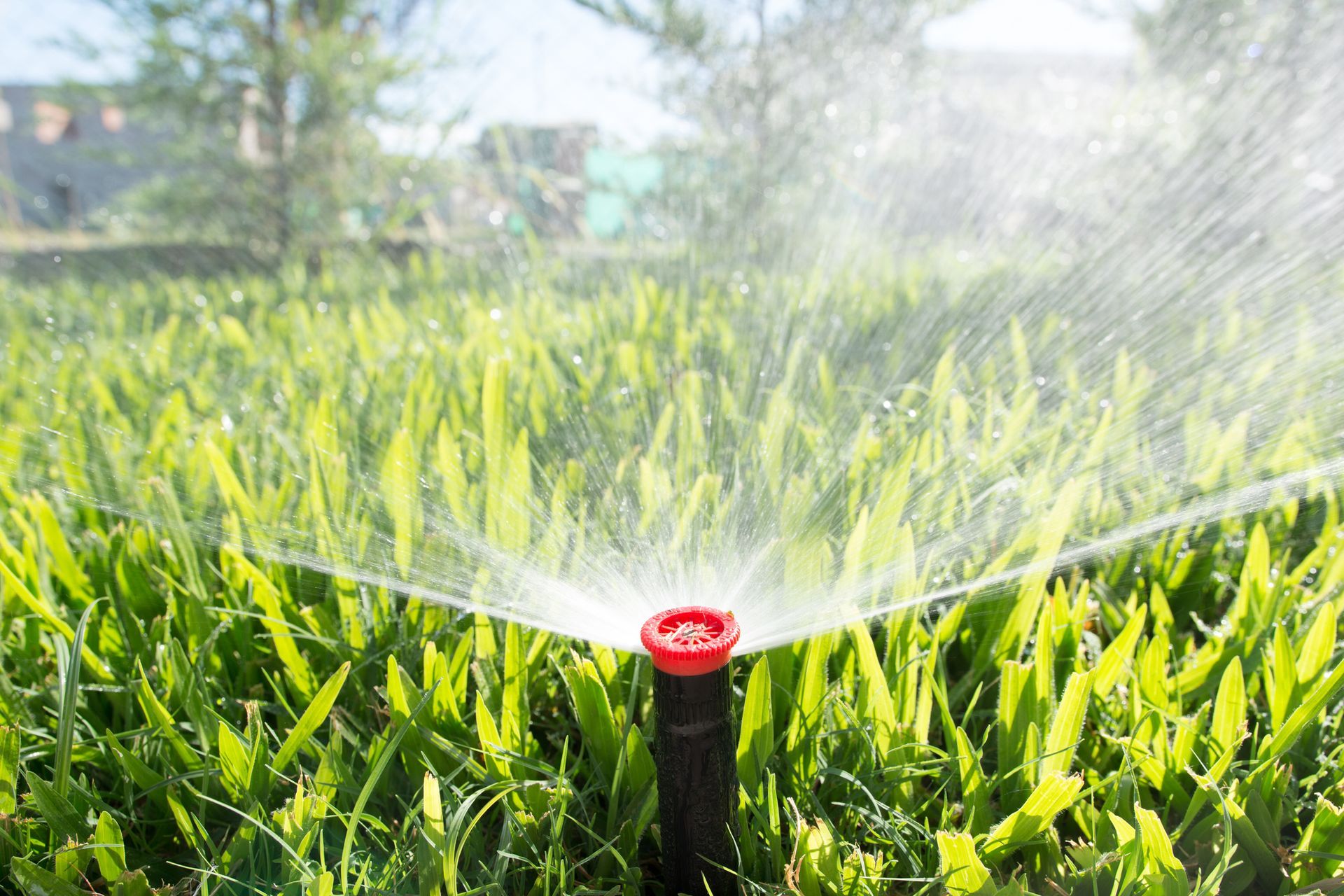 Proper Irrigation Services - B & B Exterminating
