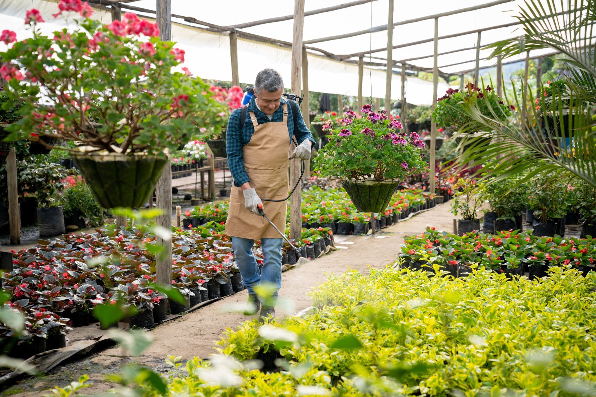 Pest Control Solution - B & B Exterminating
