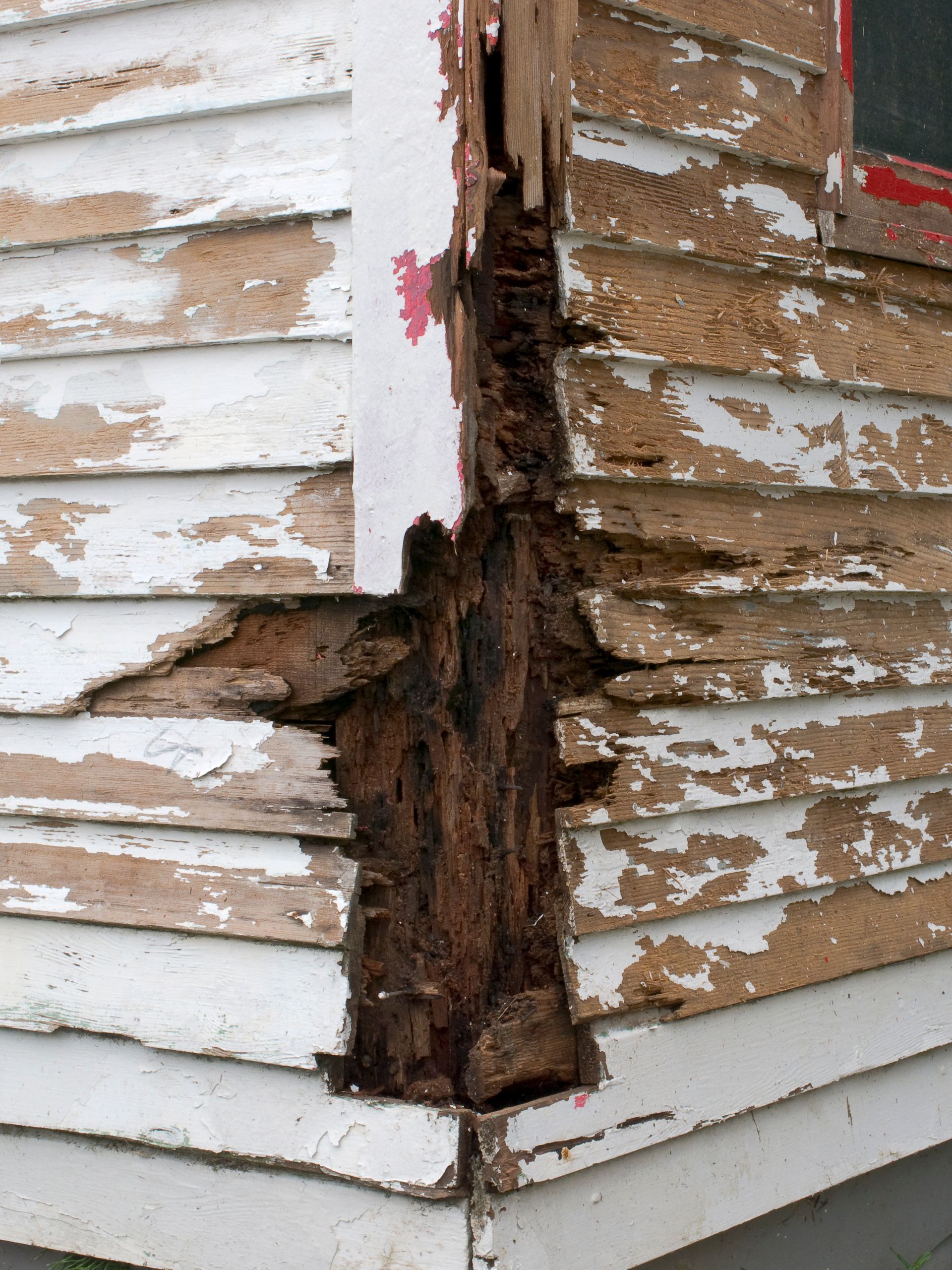 Residential Termite Control Services - B & B Exterminating