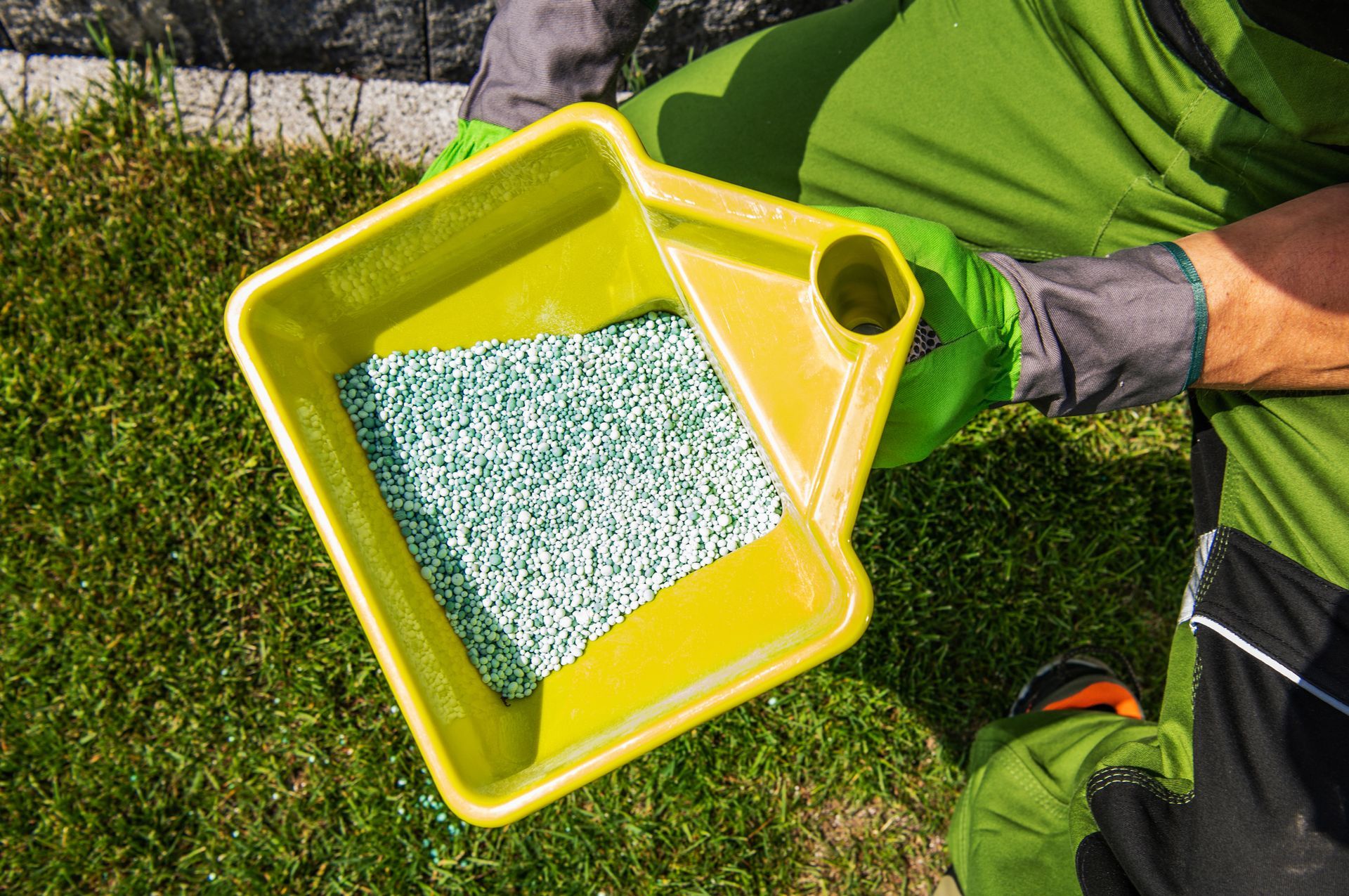 A close-up of a gardener fertilizing a residential lawn. A close-up of a gardener fertilizing a residential lawn.