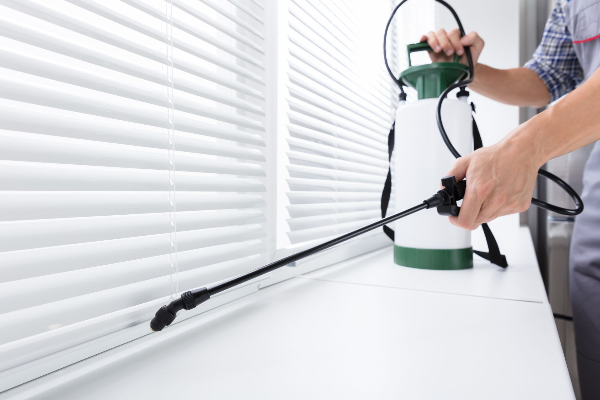 Residential Pest Control Services - B & B Exterminating
