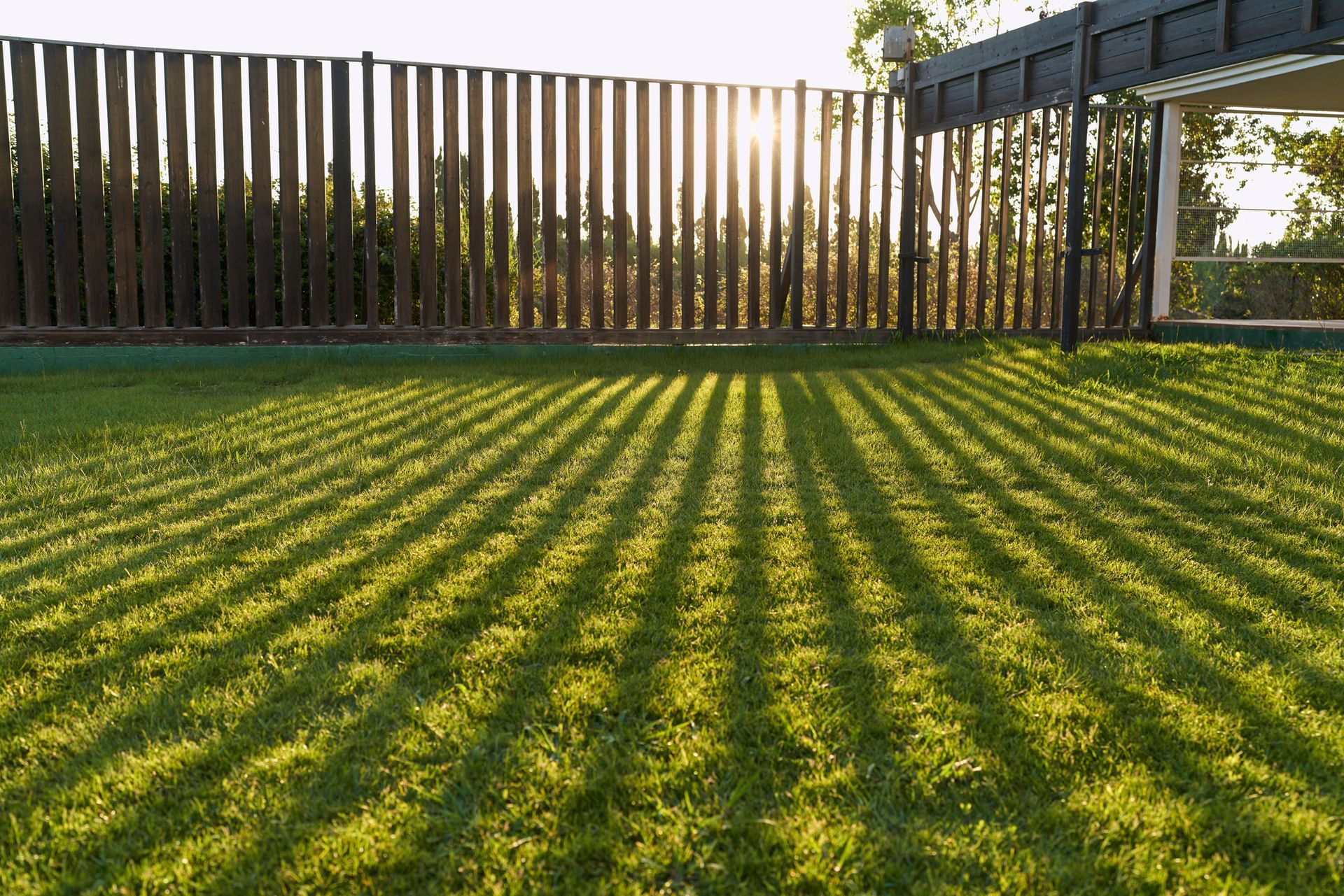 Sunlit backyard lawn with long fence shadows and a wooden deck in the corner