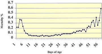 Mortality Pattern