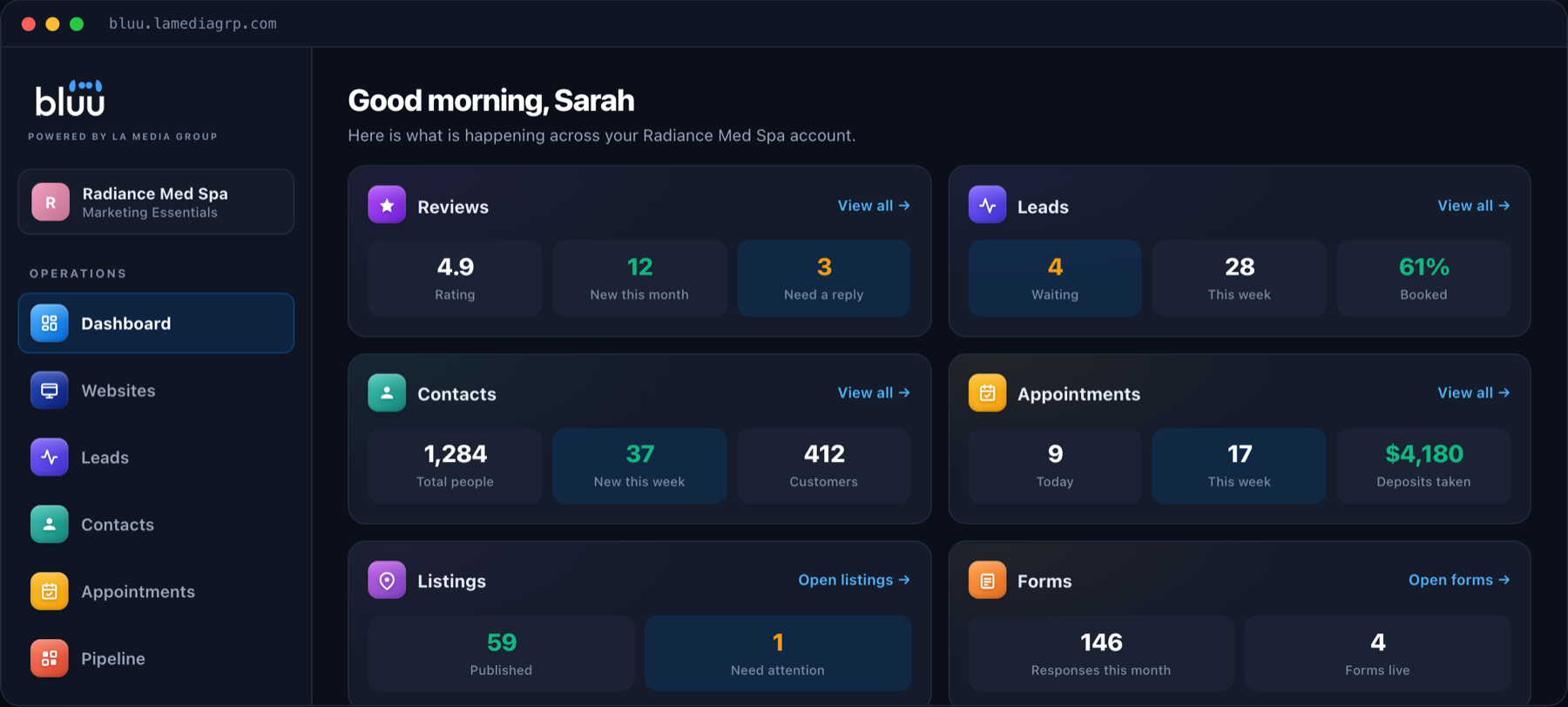 The Bluu dashboard home screen showing reviews, leads, contacts, appointments, listings and forms for one business