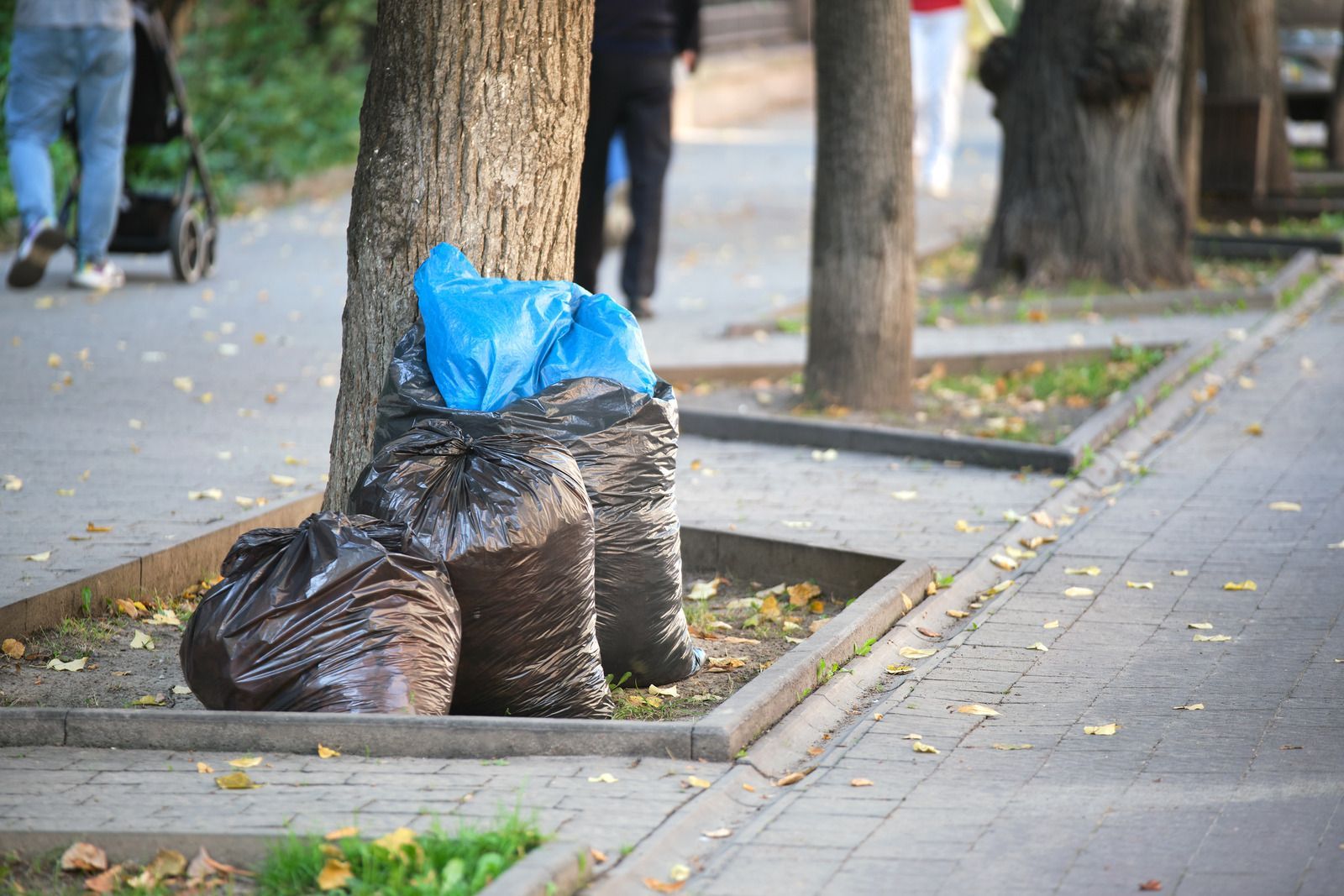 Bags of trash beside a tree on a sidewalk. Blue and black bags. People walking in the background.