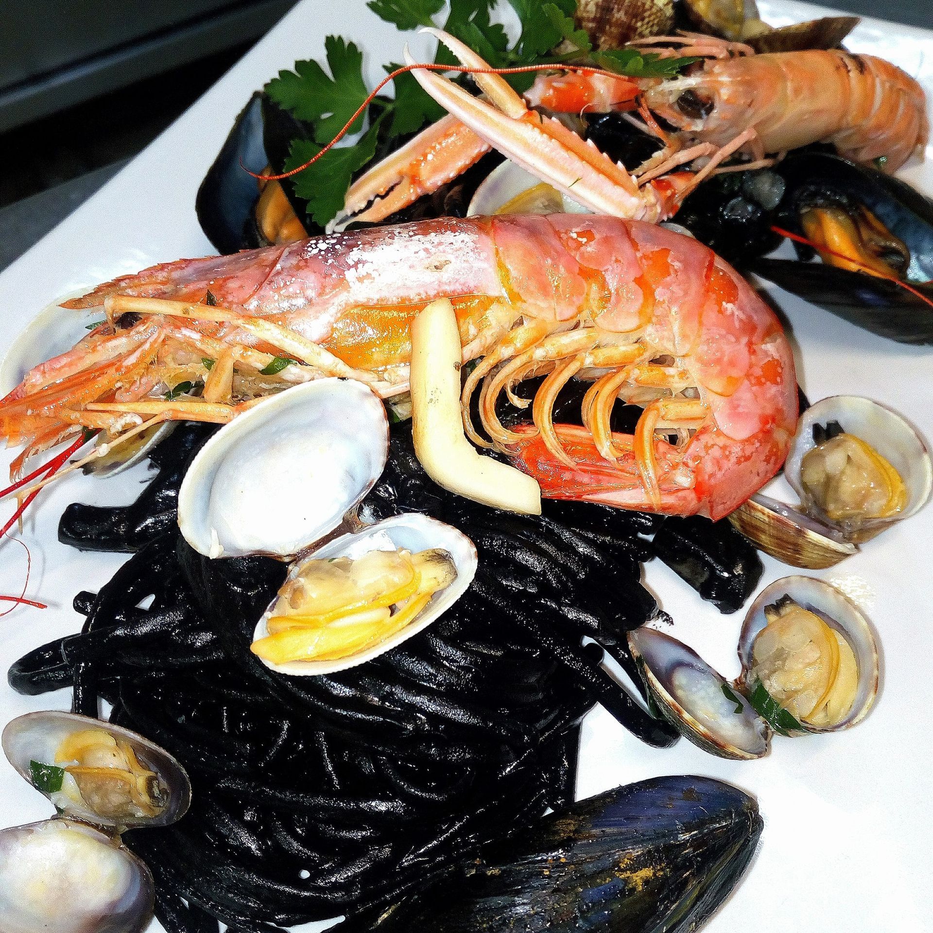 Pasta al nero di seppia con vongole e gamberoni su un piatto bianco.