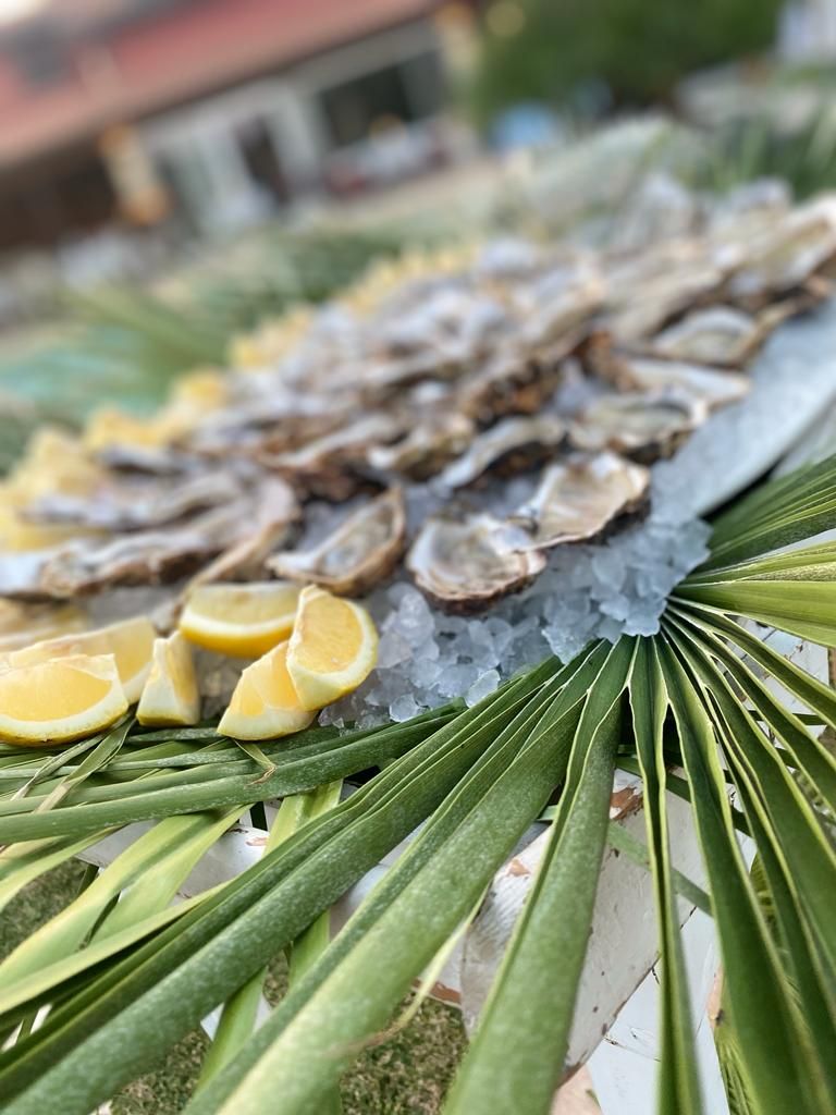 Ostriche servizio catering ladispoli